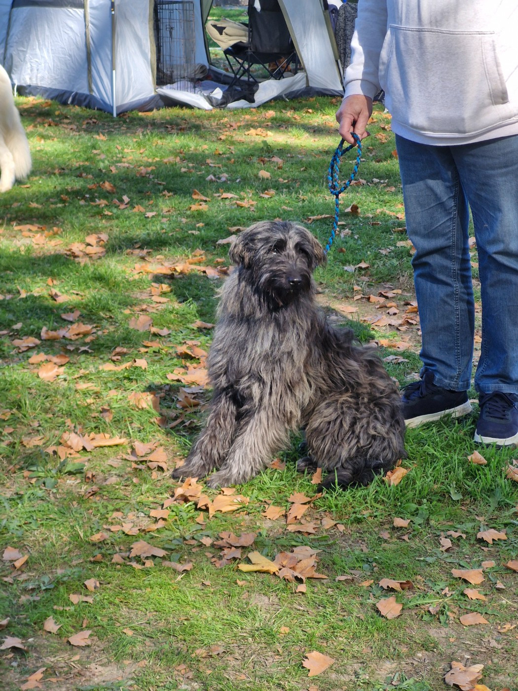 U'aspin Soum De Matte Du Pla D'Adet